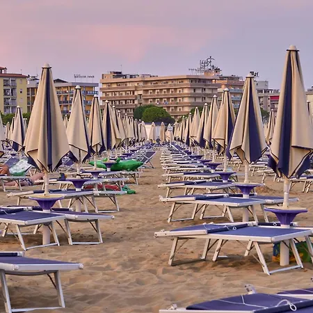 Relax Vibes Near The *